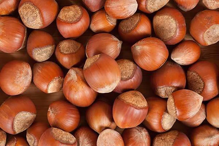   Shelled Hazelnuts